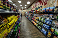 Kahoots - Photo 6 - Car repair in La Mesa, CA, San Diego