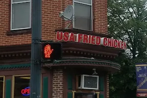 USA Fried Chicken image