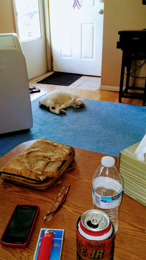 Supermarket «ALDI», reviews and photos, 28971 S Wixom Rd, Wixom, MI 48393, USA