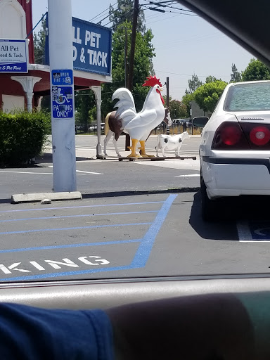 Animal Feed Store «All Pet Feed & Tack», reviews and photos, 25598 E Baseline St, San Bernardino, CA 92410, USA