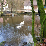 Photo n°2 de l'avis de Jutta.e fait le 04/12/2019 à 09:59 sur le  Klug'sche Mühle à Trippstadt