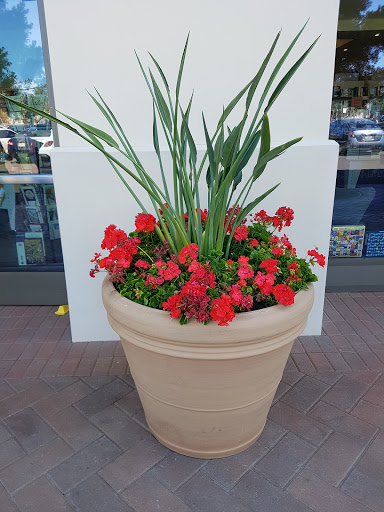 Book Store «Books Inc.», reviews and photos, 2712 Augustine Dr #120, Santa Clara, CA 95054, USA