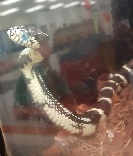 Pet Supply Store «PetSmart», reviews and photos, 2925 Lancaster Dr NE, Salem, OR 97305, USA