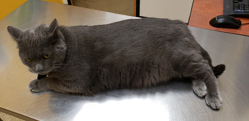 Pet Supply Store «PetSmart», reviews and photos, 5857 NJ-42, Turnersville, NJ 08012, USA