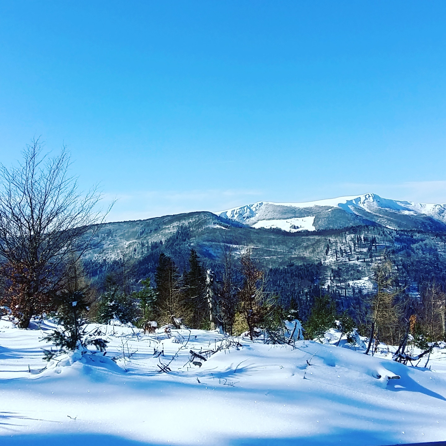 Photo n° 7 de l'avis de Antoine.o fait le 14/02/2018 à 07:15