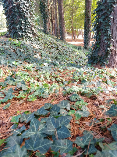 Country Club «Prestonwood Country Club», reviews and photos, 300 Prestonwood Pkwy, Cary, NC 27513, USA