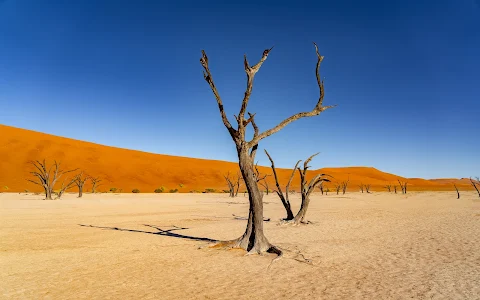 Deadvlei image