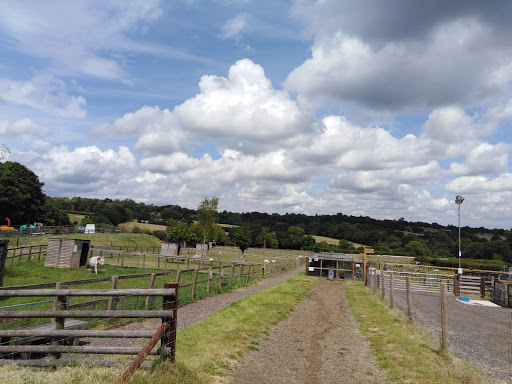 Belmont Children's Farm