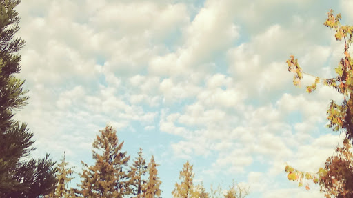 Park «Willis D. Tucker Community Park», reviews and photos, 6705 Puget Park Dr, Snohomish, WA 98296, USA