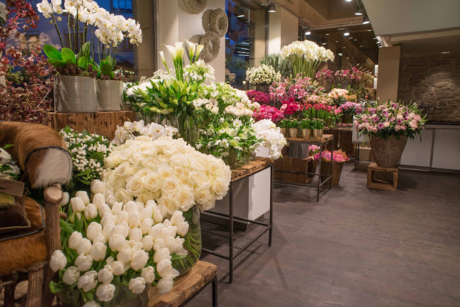 Rezensionen über MARSANO AG in Zürich - Blumengeschäft