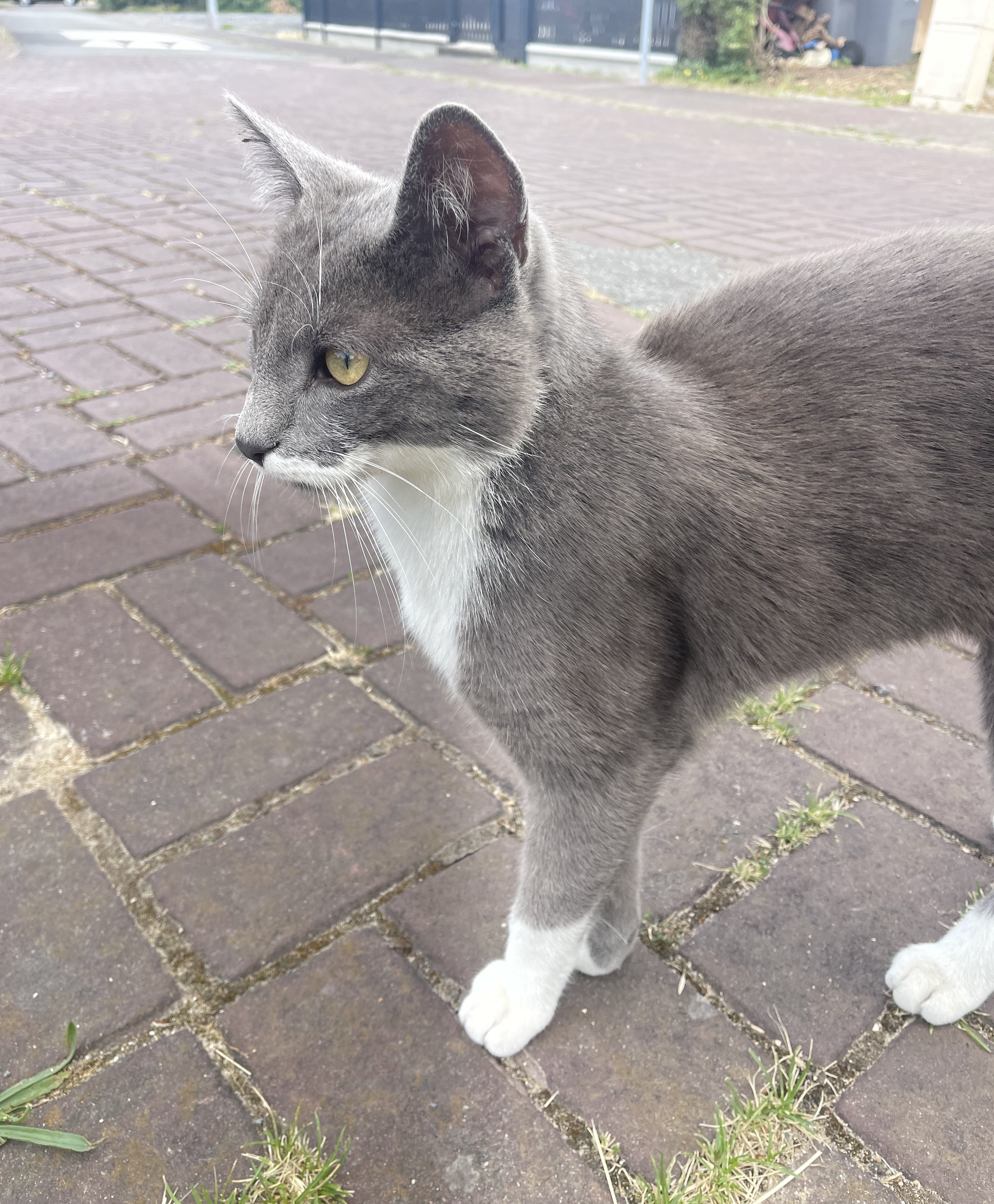 Photo n° 5 de l'avis de Thais.O fait le 27/07/2020 à 18:57