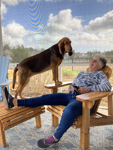 Pet Supply Store «PetSmart», reviews and photos, 30 Malphrus Rd, Bluffton, SC 29910, USA