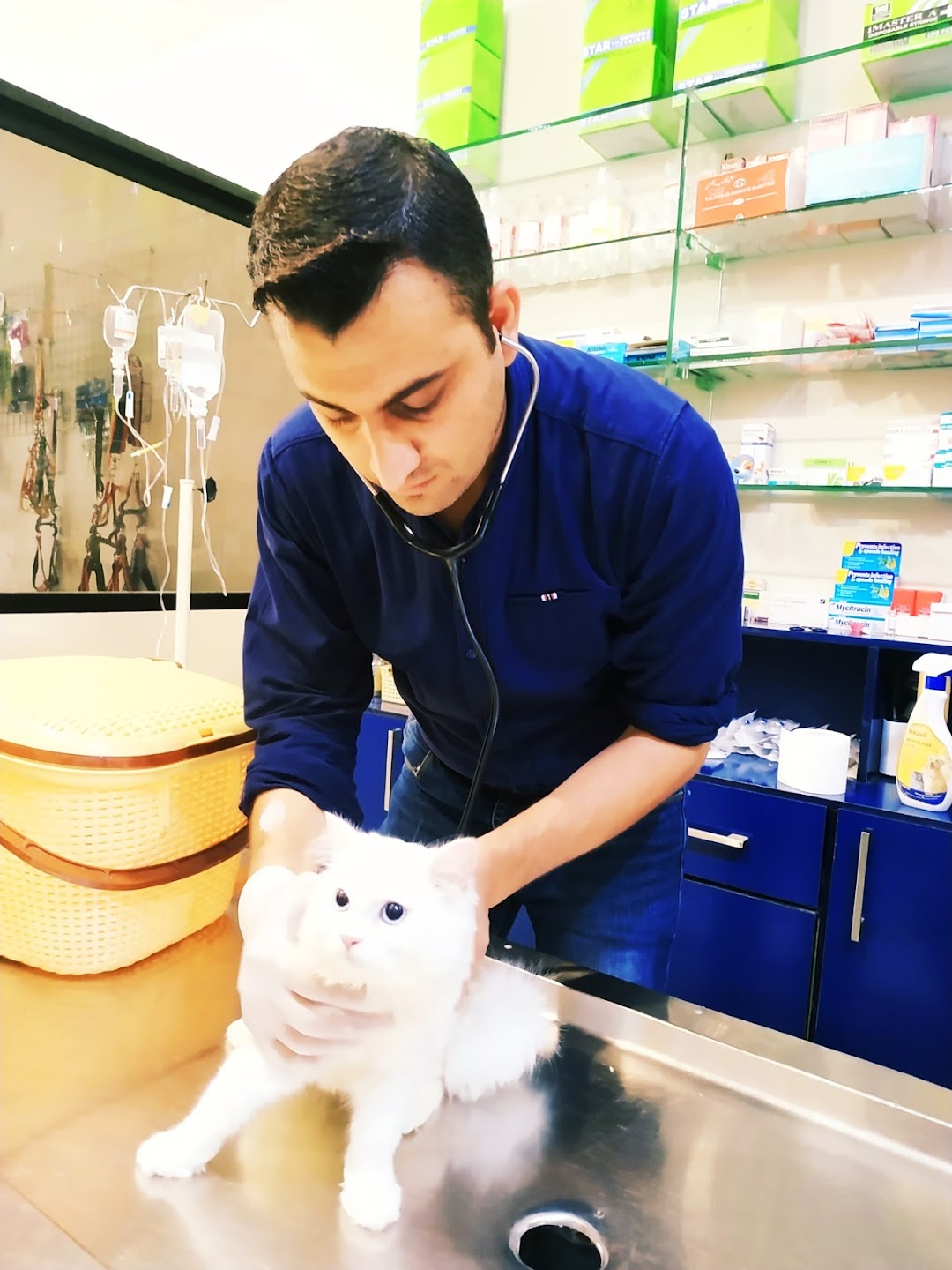SurgVet Pet Hospital - Veterinary Clinic & Home Care