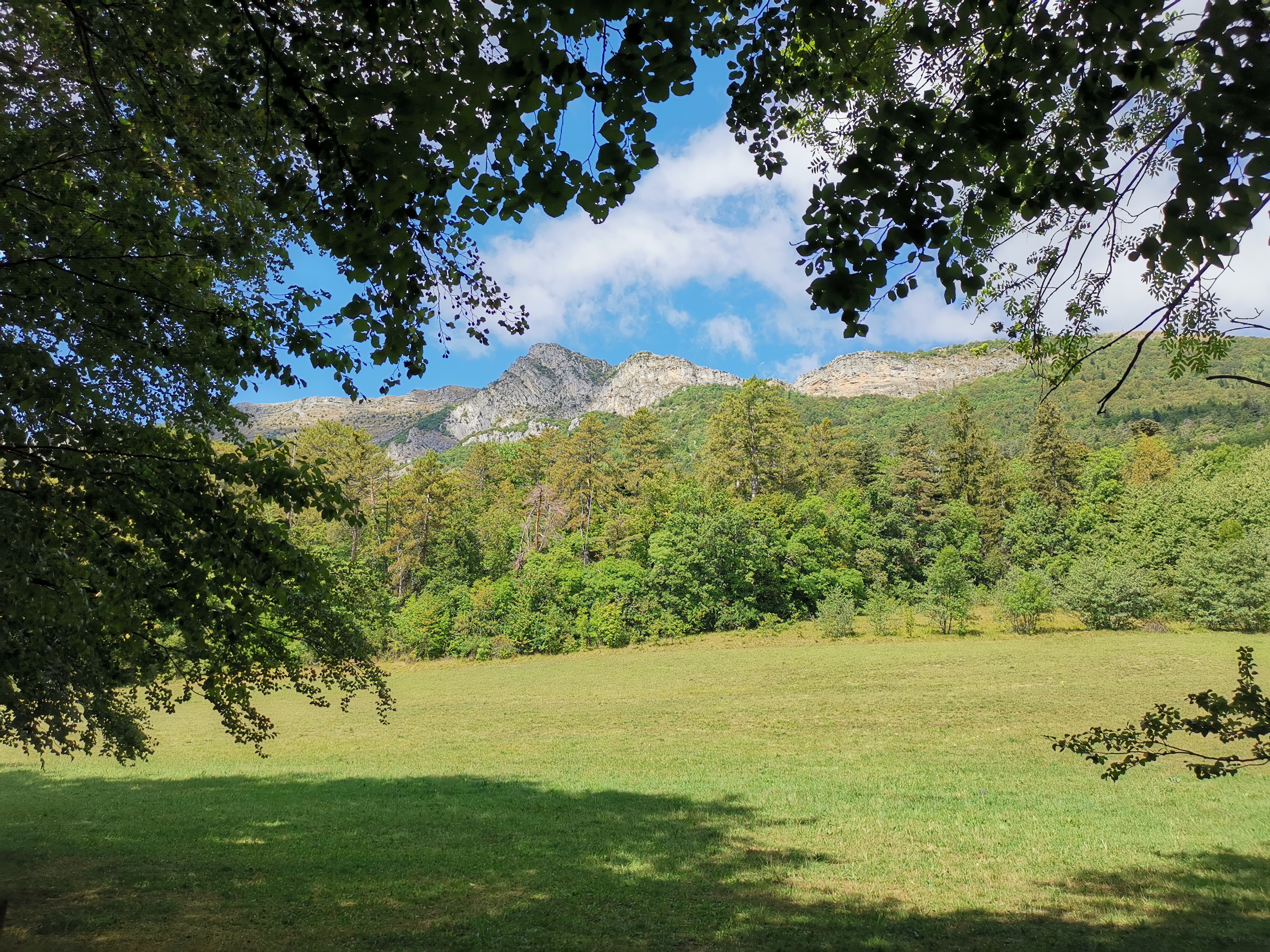 Photo n° 2 de l'avis de Hans.a fait le 31/08/2020 à 17:36