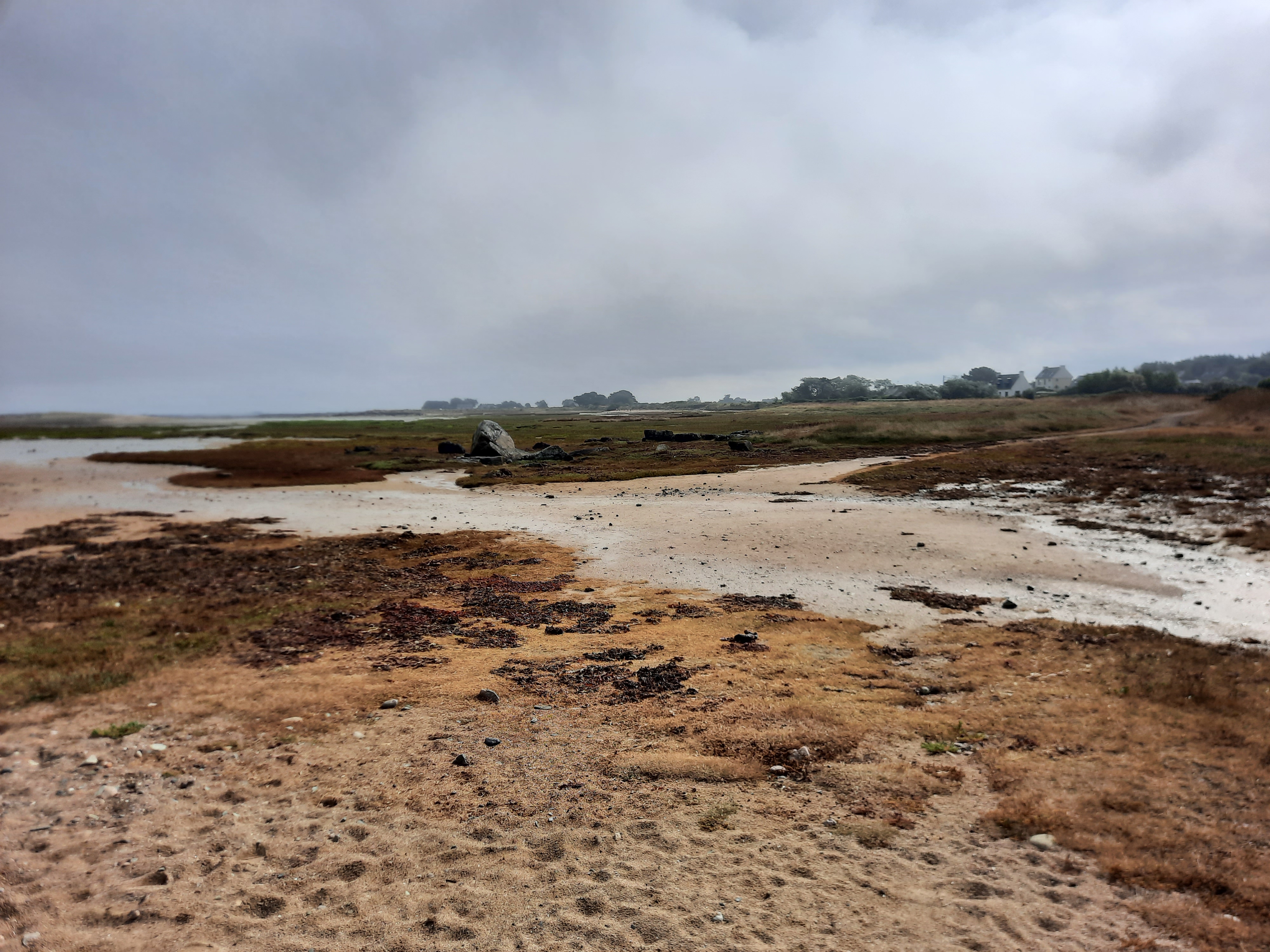 Photo n° 8 de l'avis de Patricia.i fait le 09/09/2021 à 19:21