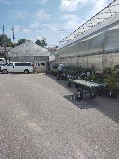 Florist «Fort Thomas Florists & Ghses.», reviews and photos, 63 S Grand Ave, Fort Thomas, KY 41075, USA