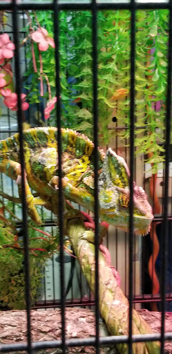 Pet Supply Store «Pure Paradise Pets», reviews and photos, 39 Putnam Pike, Johnston, RI 02919, USA