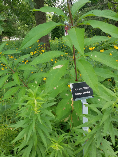 Zoo «Lords Park Zoo», reviews and photos, 325 Hiawatha Dr, Elgin, IL 60120, USA