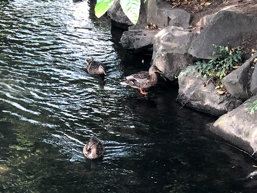 History Museum «Willamette Heritage Center», reviews and photos, 1313 Mill St SE, Salem, OR 97301, USA