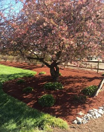 5 Points Lawn Service & Snow Removal - Photo 5 - Car repair in , Dayton