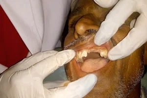 Subhadra Dental Care image