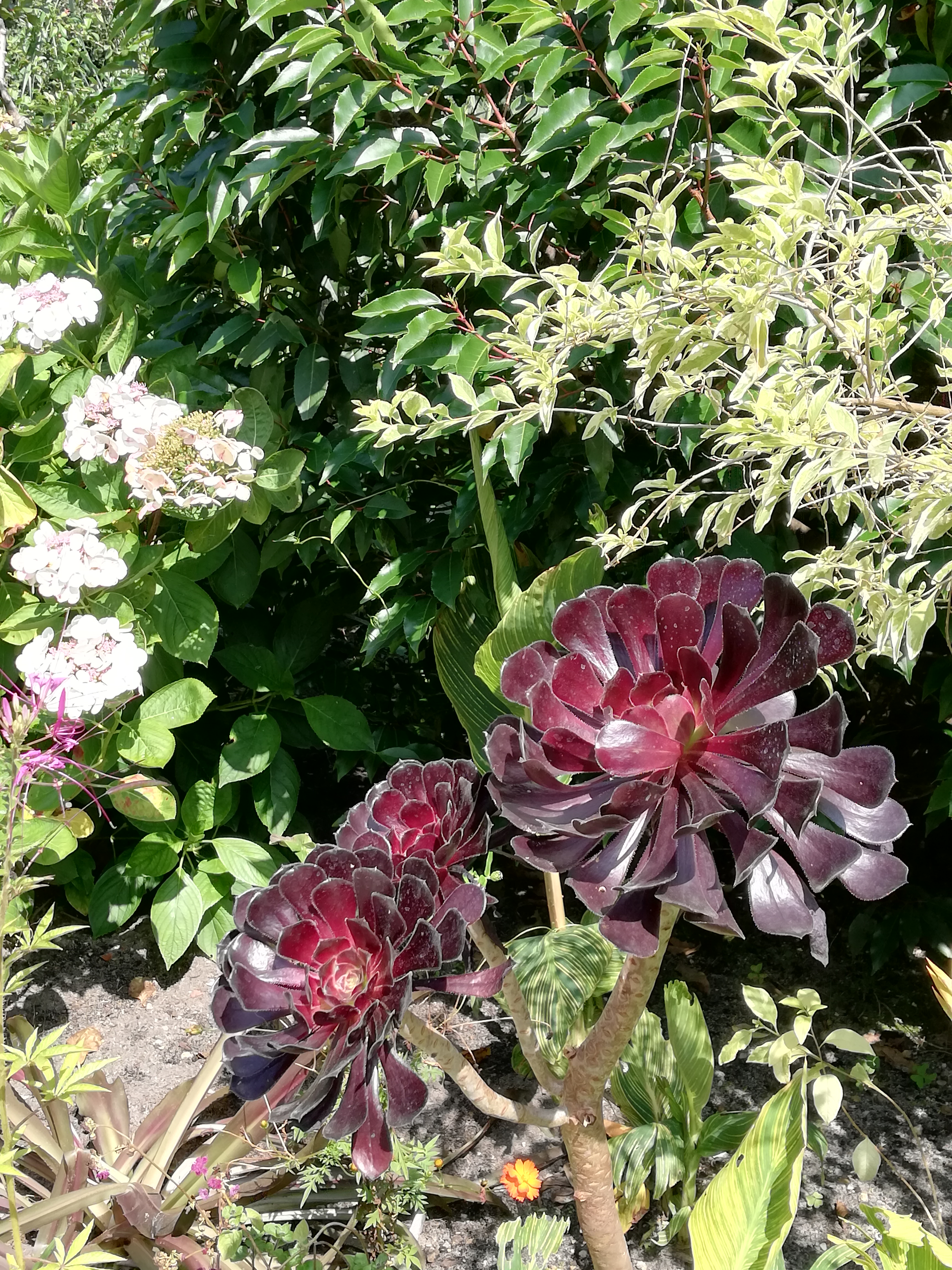 Photo n° 10 de l'avis de marie.a fait le 22/07/2021 à 05:41