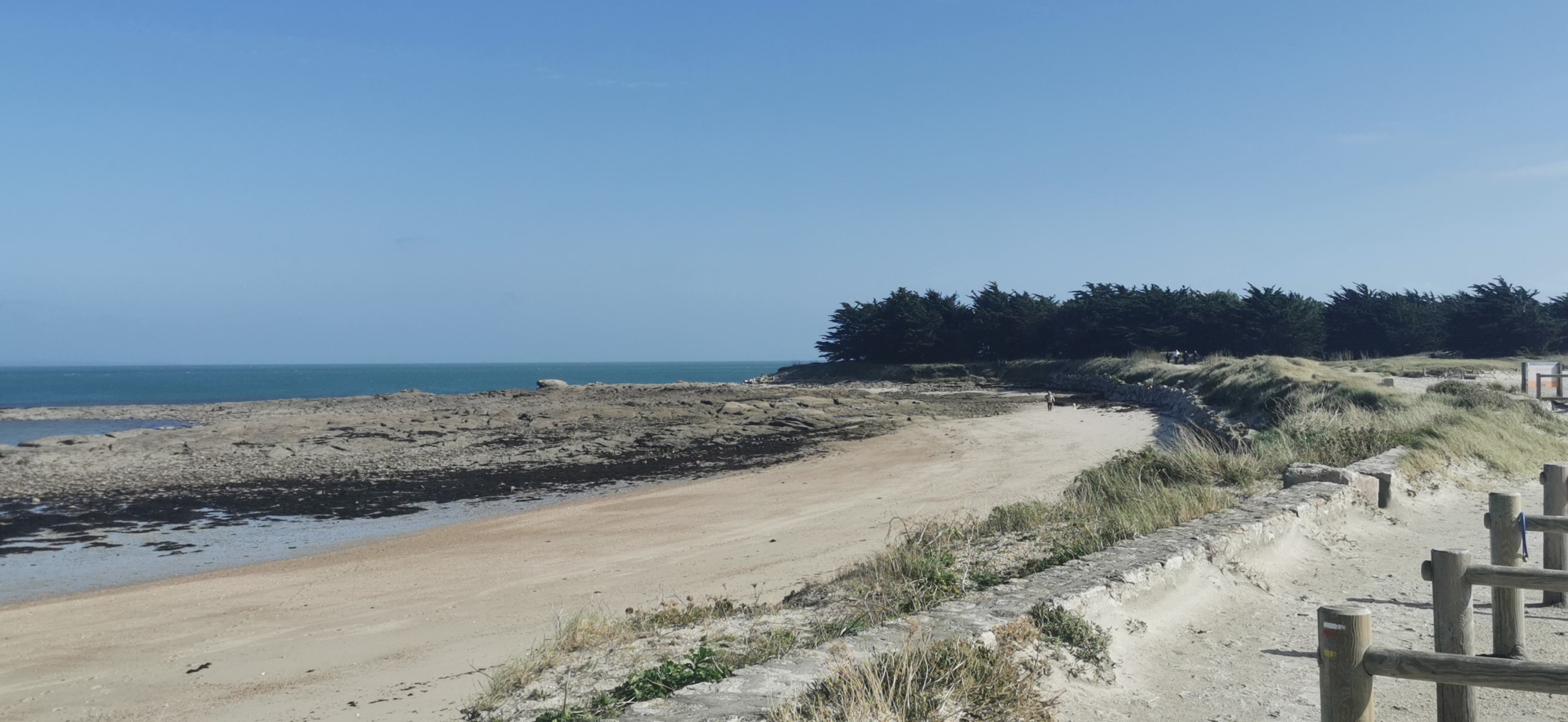 Photo n° 21 de l'avis de Didier.a fait le 08/10/2020 à 16:06