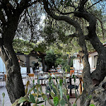 Photo n°1 de l'avis de Arne.. fait le 21/06/2023 à 10:17 sur le  Casa Saltara Suites e Case tra gli Alberi con Ristorante Autentico Sardo à Santa Teresa Gallura