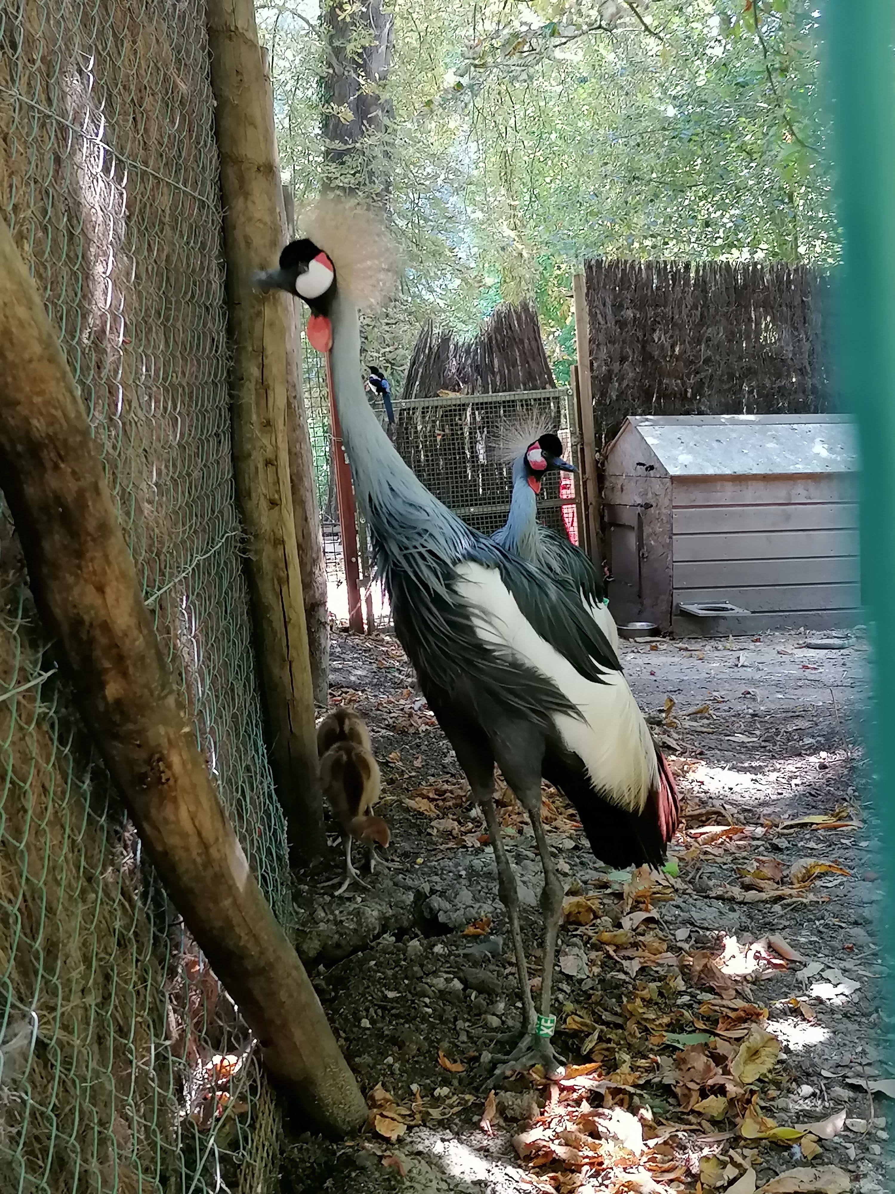 Photo n° 8 de l'avis de Mimicracra. fait le 13/08/2022 à 07:50