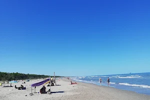 Spiaggia libera di Lido di Classe image