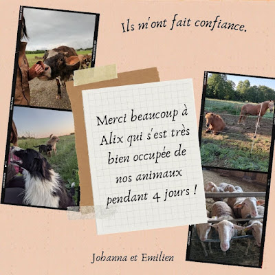 La Chaumière Aux Poilus à Plouasne