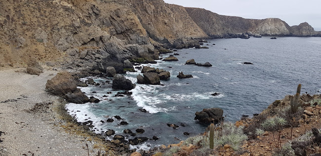 Angostura de Galvez Fundo, Puerto Oscuro, Canela, Coquimbo, Chile