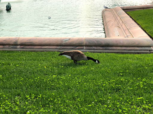 Fountain «Buckingham Fountain», reviews and photos, 301 S Columbus Dr, Chicago, IL 60605, USA