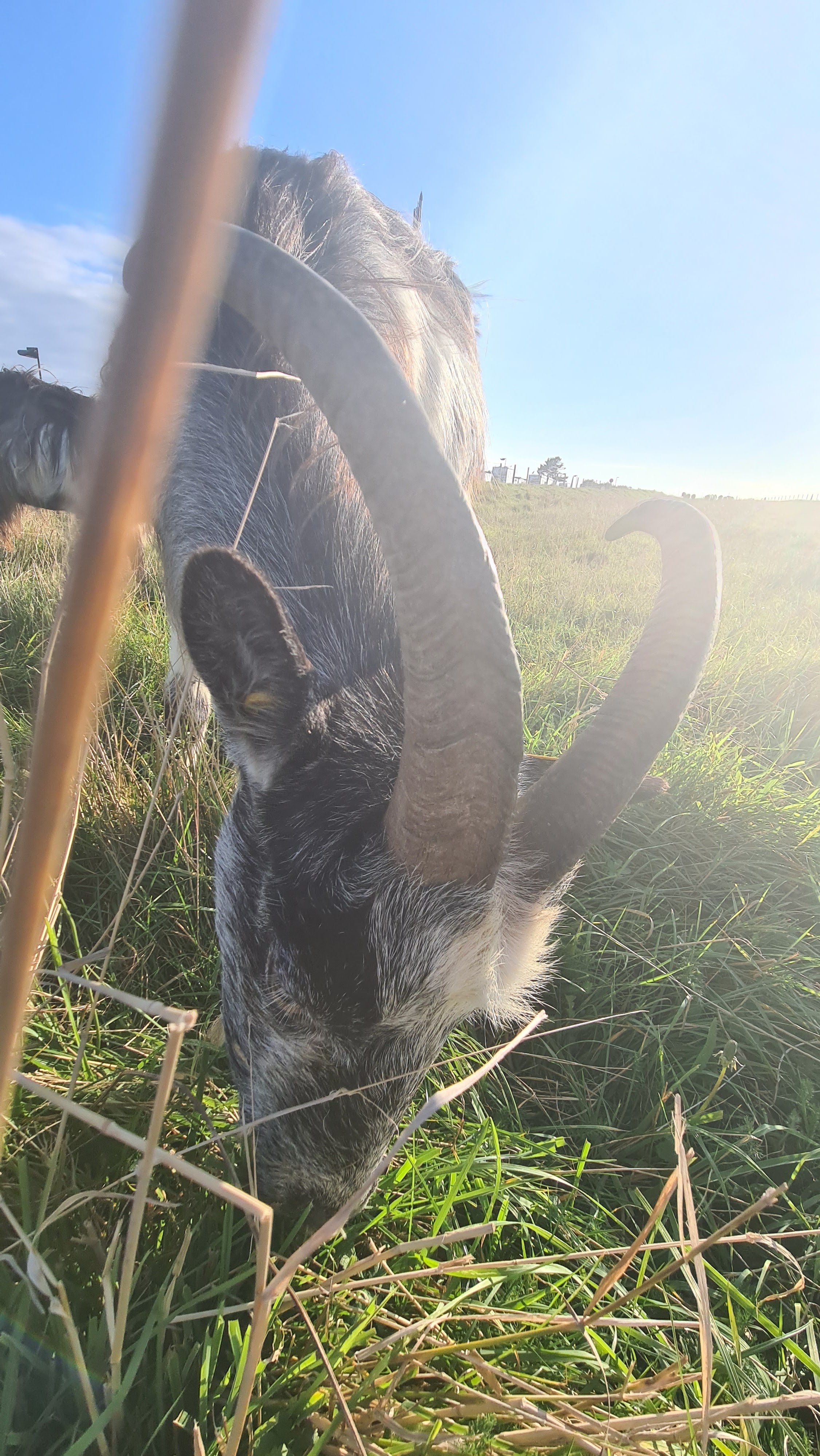 Photo n° 3 de l'avis de Stéphane.a fait le 29/08/2021 à 20:56