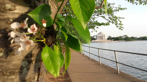 Monument «Thomas Jefferson Memorial», reviews and photos, 701 E Basin Dr SW, Washington, DC 20242, USA