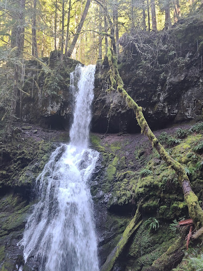 Trestle Creek Falls Trail 1403c