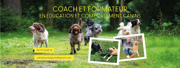 Salvateur Coach Canin