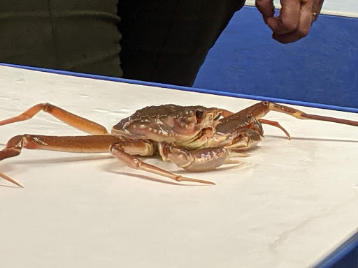 Aquarium «Explore the Ocean World, llc Oceanarium», reviews and photos, 367 Ocean Blvd, Hampton, NH 03842, USA