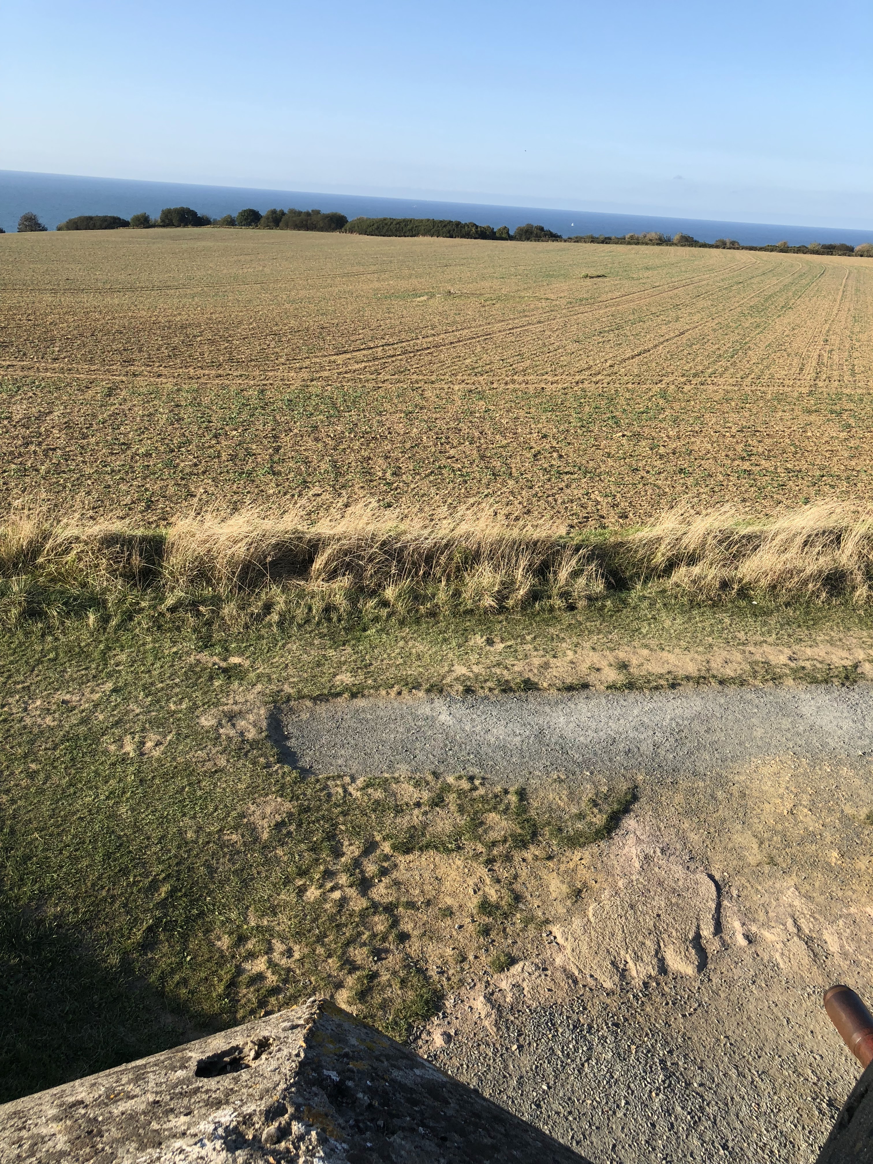 Photo n° 2 de l'avis de Rick.u fait le 19/10/2018 à 19:06