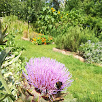 Photo n° 3 de l'avis de Muriel. fait le 01/08/2023 à 19:13 pour Jardin Camifolia à Chemillé-en-Anjou