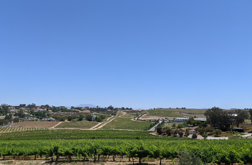 Vindemia Vineyard & Winery