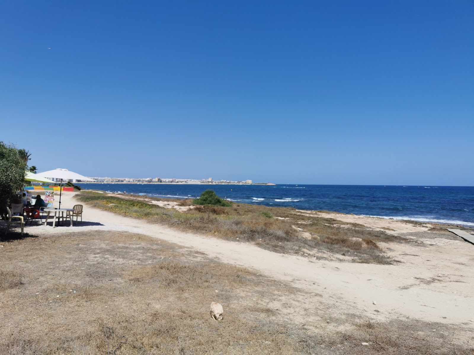 Foto de Playa Torrevieja y el asentamiento