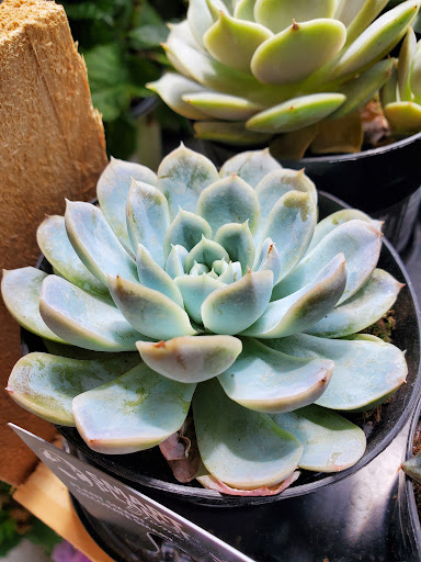 Home Improvement Store «The Home Depot», reviews and photos, 1300-1320 Corporate Dr, Westbury, NY 11590, USA