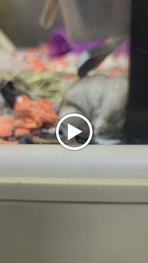 Pet Supply Store «Petco Animal Supplies», reviews and photos, 551 W Hampden Ave, Englewood, CO 80110, USA