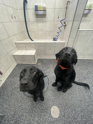 Pet Supply Store «Pet Supplies Plus», reviews and photos, 7954 Brewerton Rd #400, Cicero, NY 13039, USA