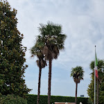 Photo n°19 de l'avis de Vittorio.e fait le 04/06/2023 à 07:42 sur le  Hotel Poppi à Mira