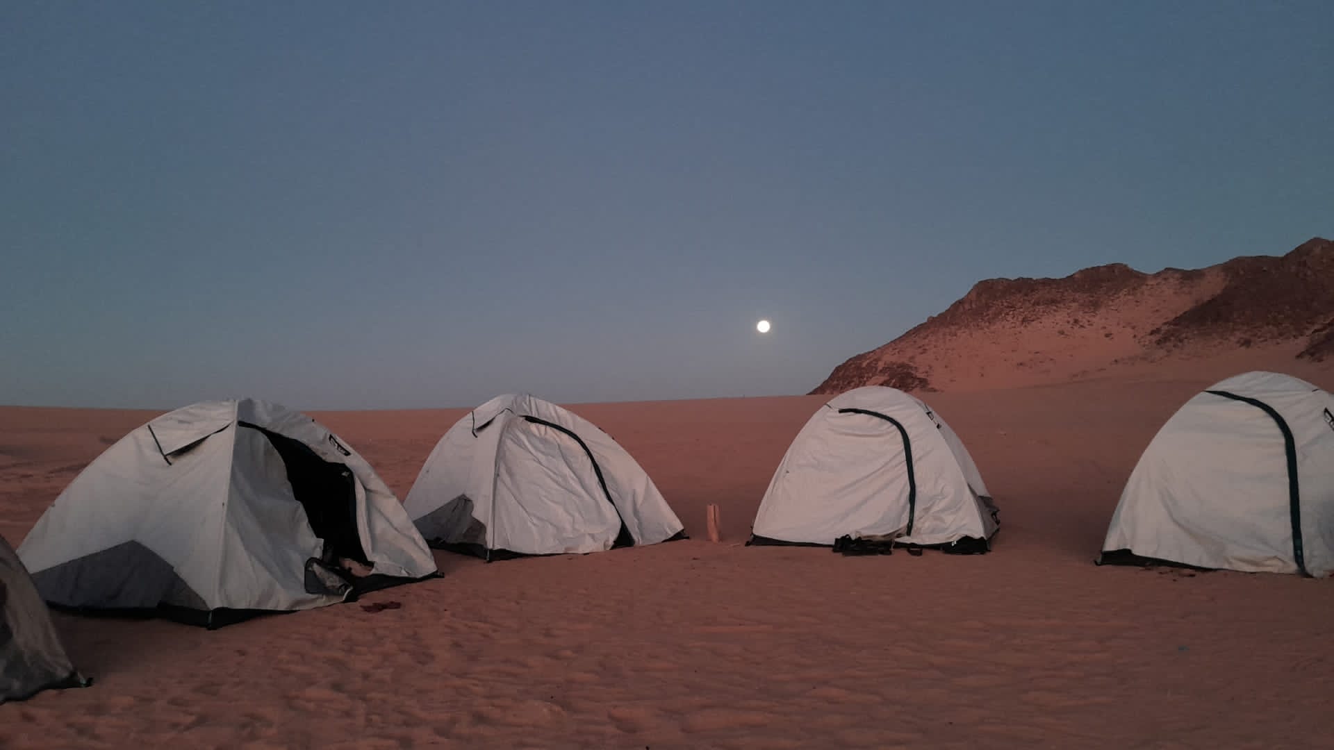 Photo n° 1 de l'avis de mima.r fait le 14/09/2020 à 11:34