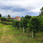 Photo n°1 de l'avis de Frank.e fait le 03/08/2020 à 18:22 sur le  Tenuta di Palù à Palù