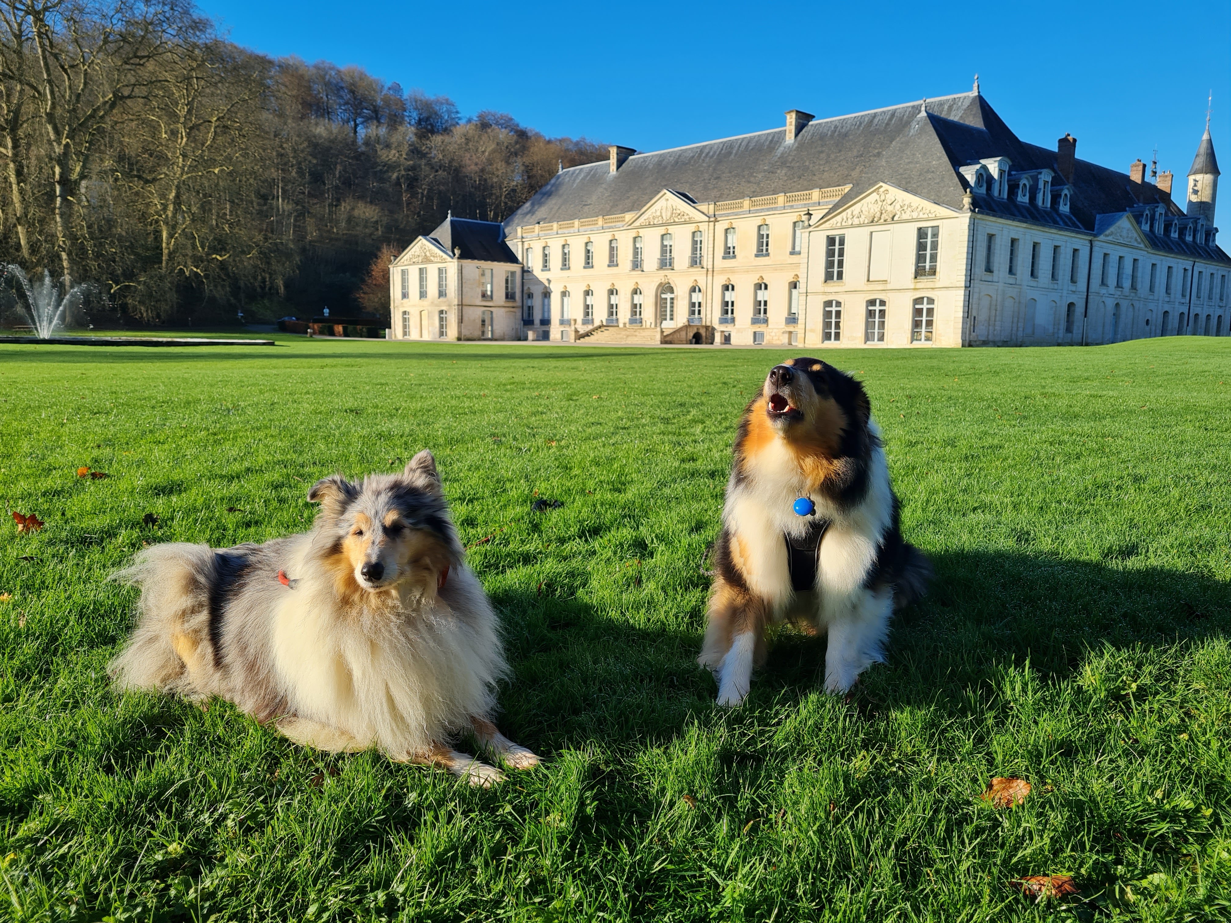 Photo n° 1 de l'avis de Mireille.o fait le 17/12/2023 à 17:55