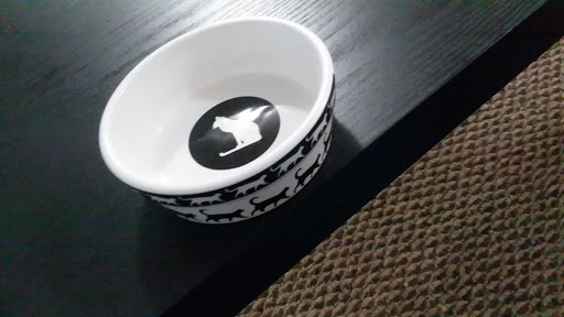 Pet Supply Store «Petco Animal Supplies», reviews and photos, 1450 Twixt Town Rd, Marion, IA 52302, USA